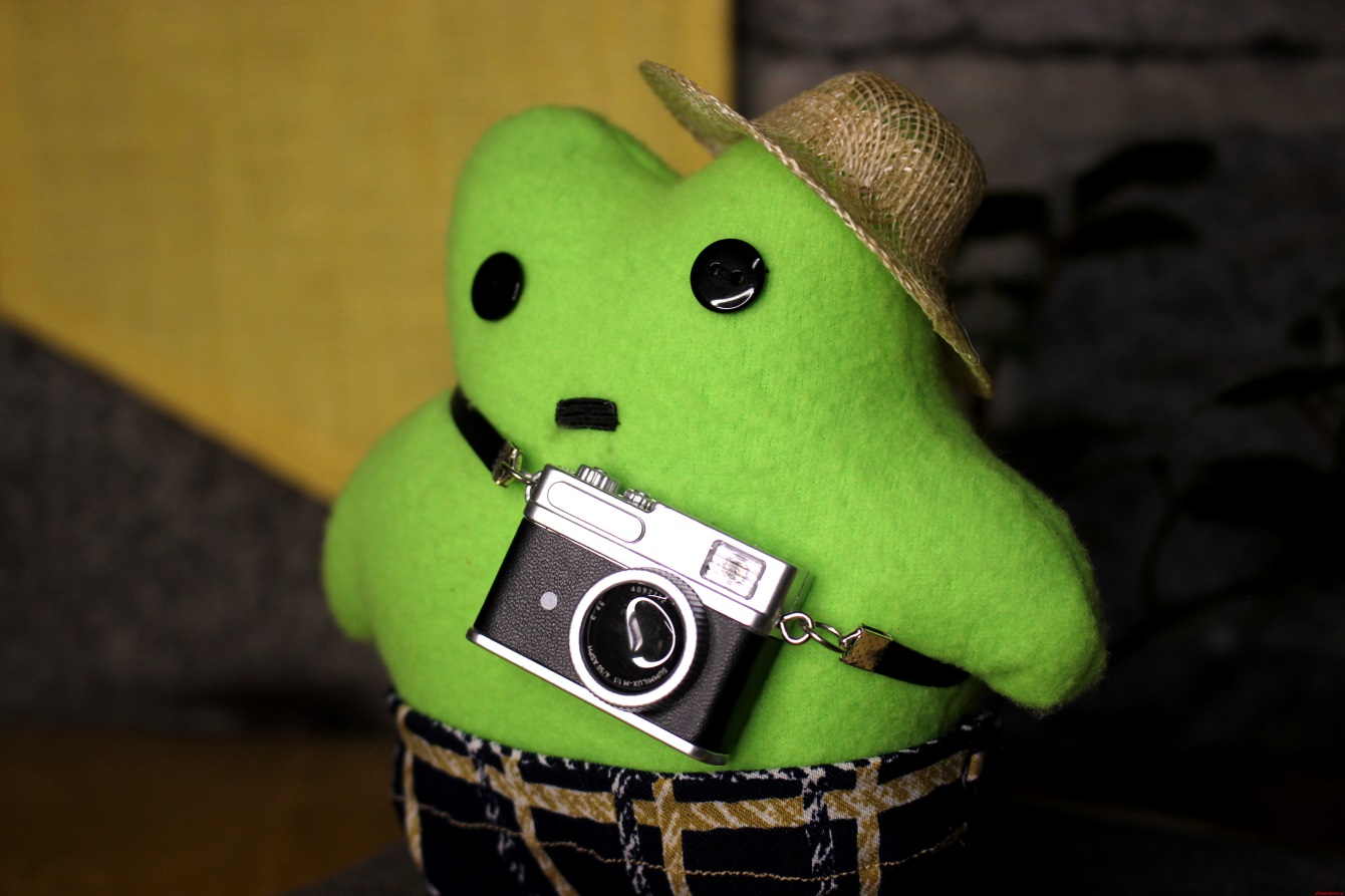 Лягушка «РуссоТуристо» by Avocadushka — изображение 2