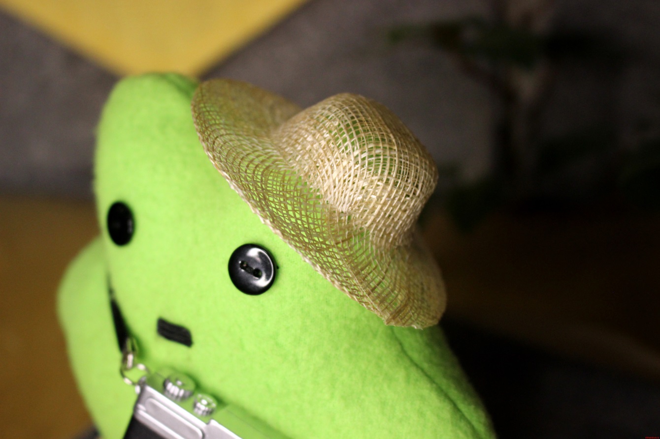 Лягушка «РуссоТуристо» by Avocadushka — изображение 3