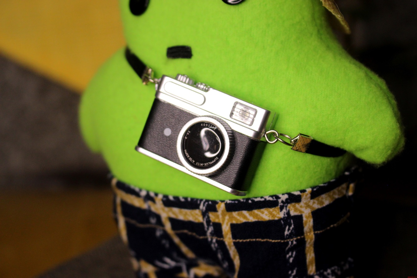 Лягушка «РуссоТуристо» by Avocadushka — изображение 4