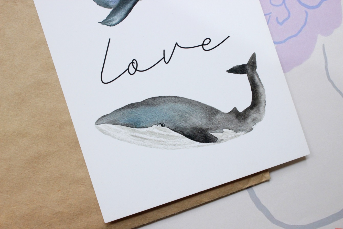Открытка «Love Whales» Teplo — изображение 2